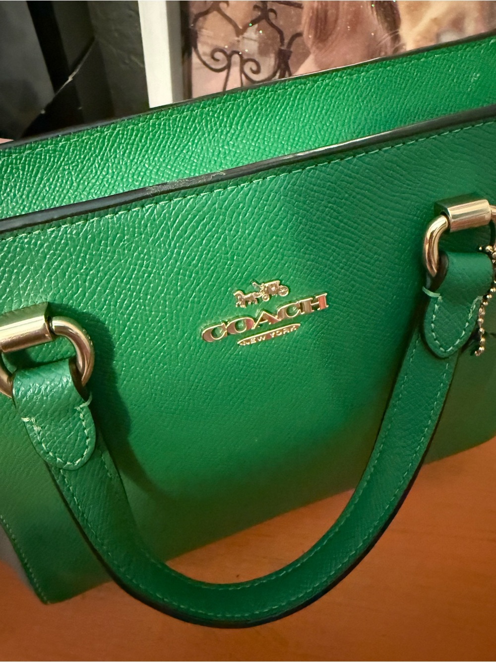 COACH Alice Green and Gray Colorblock Mini Satchel - Picture 8 of 12